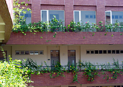 Flower beds at floors of Computer Sci. Building